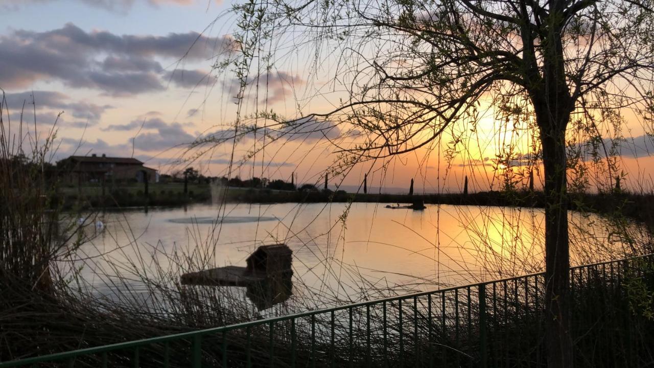 La Rimessa Experience-Dream Holiday Home モンタイオーネ エクステリア 写真